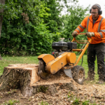 Do I Need Stump Grinding After a Tree Is Removed?